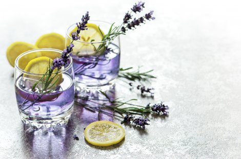 Lavendel // © LiliGraphie Lavendel // © LiliGraphie