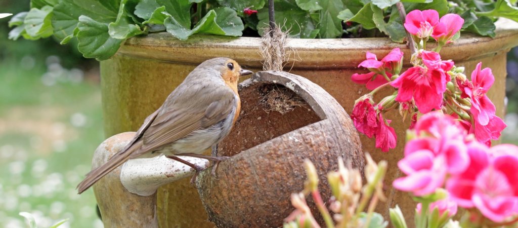 Frische Garten-Trends 2025
