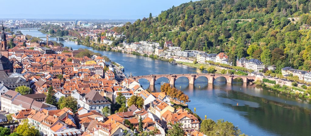 Fünf Jahre Rainbow City