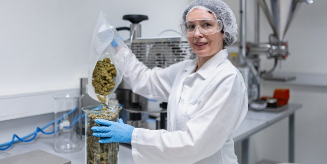 Die Rolle von Cannabis in der modernen Medizin: Ein Überblick © Mr Vito