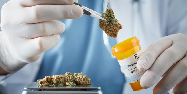Die Rolle von Cannabis in der modernen Gesundheitspflege: Fakten und Mythen © :Sezeryadigar