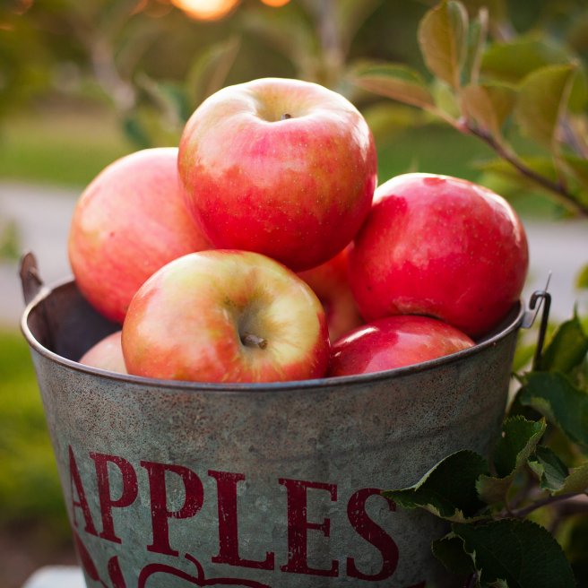Herbst-Rezepte