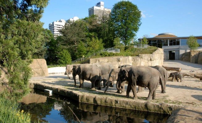 Kölner Zoo