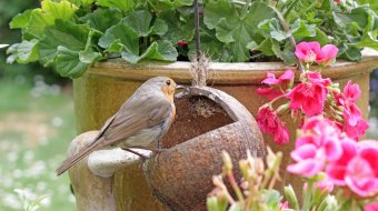 Frische Garten-Trends 2025