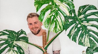 Schwuler Pflanzenliebhaber
